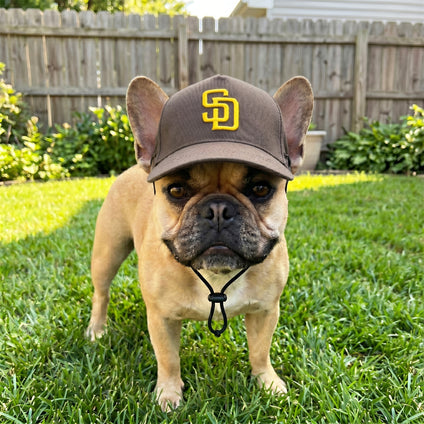 San Diego Padres Pet Caps