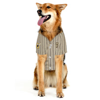 San Diego Padres Pet Jersey
