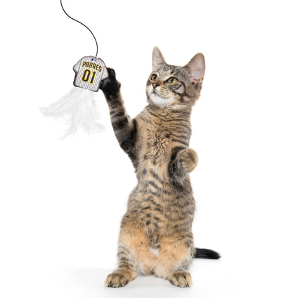 SAN DIEGO PADRES TEAM JERSEY WAND WITH CAT NIP