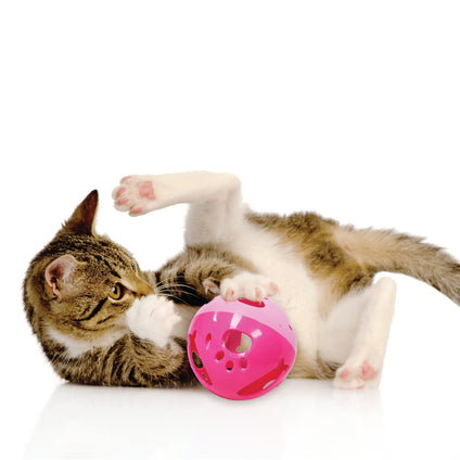 Cat Ball Bell Toy Pink