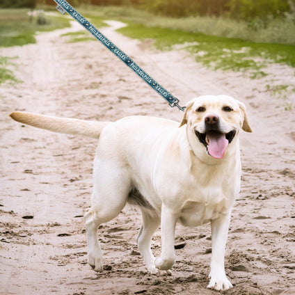 Philadelphia Eagles Zubaz Leash