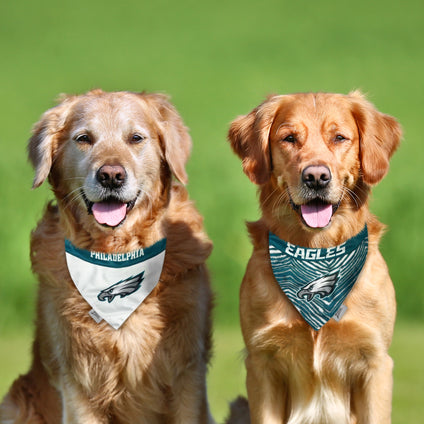 Philadelphia Eagles Zubaz Reversible Bandana