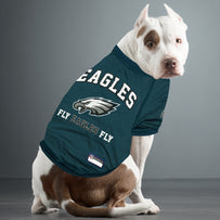 Philadelphia Eagels Raglan Jersey