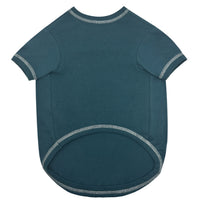 Philadelphia Eagles Stripe Text Tee Shirt