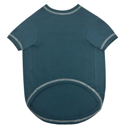 Philadelphia Eagles Stripe Text Tee Shirt