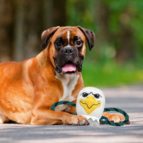 Philadelphia Eagles Mascot Rope Toy