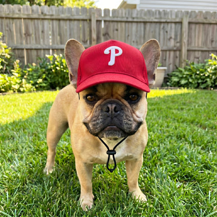 Philadelphia Phillies Pet Caps