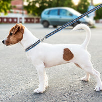 Philadelphia Union Satin Ribbon Leash