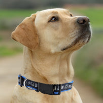 Philadelphia Union Satin Collar