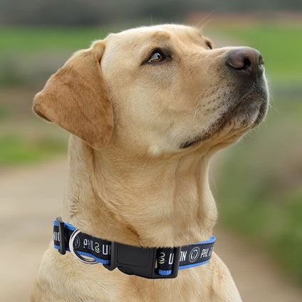 Philadelphia Union Satin Collar