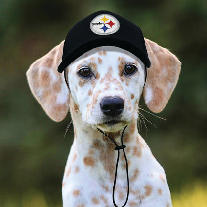 Pittsburgh Steelers Pet Caps