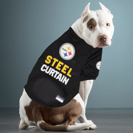 Pittsburgh Steelers Raglan Jersey