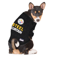 Pittsburgh Steelers Raglan Jersey
