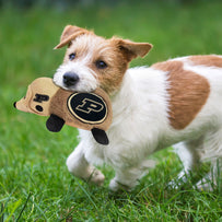 PURDUE PLUSH HEDGEHOG TOY