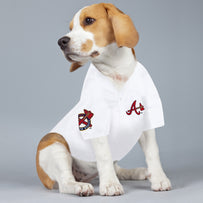 Ronald Acuna Jr Pet Jersey (Brv)