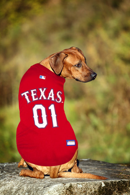 Texas Rangers Pet Jersey