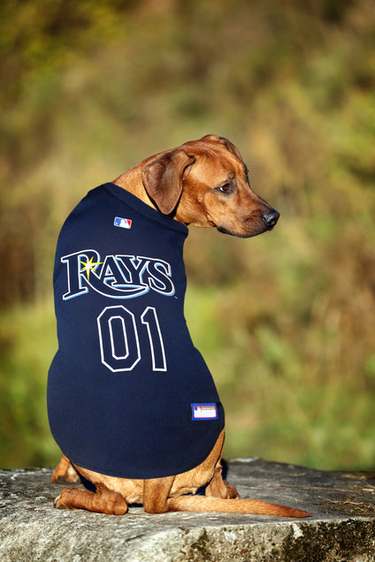 Tampa Bay Rays Pet Jersey
