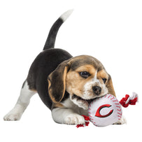 Cincinnati Reds Nylon Baseball Rope Toy