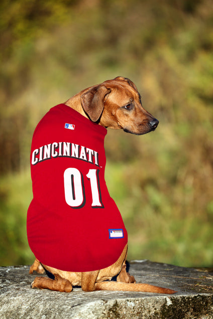 Cincinnati Reds Pet Jersey