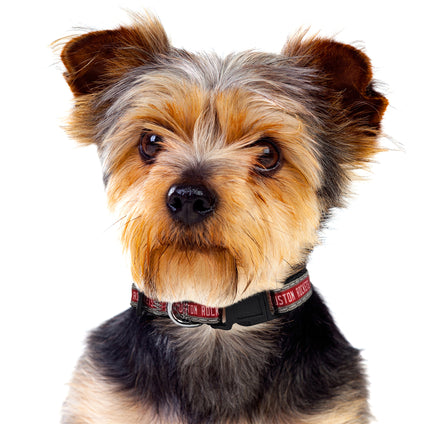 Houston Rockets Satin Collar