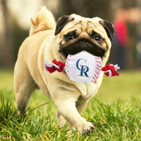 Colorado Rockies Nylon Baseball Rope Toy