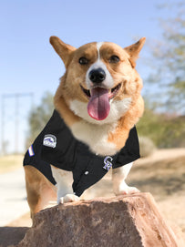 Colorado Rockies Pet Jersey