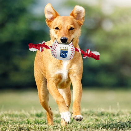Kansas City Royals Nylon Baseball  Rope Toy