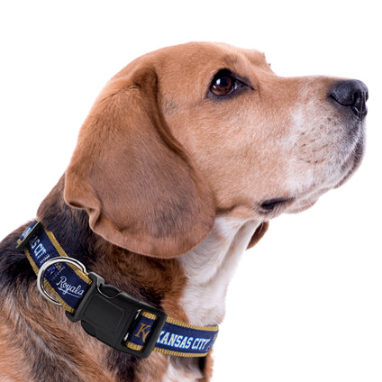 Kansas City Royals Satin Collar