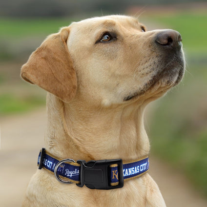 Kansas City Royals Satin Collar