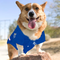 Kansas City Royals Pet Jersey