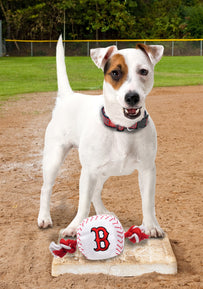Boston Red Sox Nylon Baseball Rope Toy