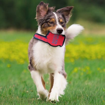 Boston Red Sox #1 Fan Toy