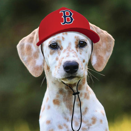 Boston Red Sox Pet Caps