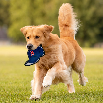 Boston Red Sox Baseball Cap Tough Toy