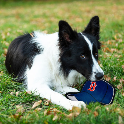 Boston Red Sox Baseball Cap Tough Toy