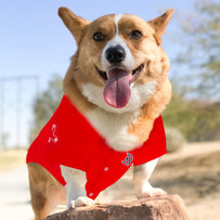 Boston Red Sox Pet Jersey