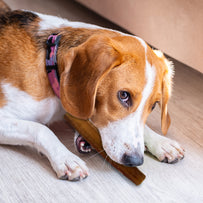 John Deere Bully Stick Twelve Inch