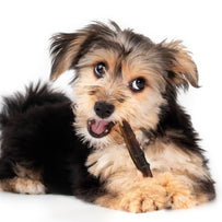 John Deere Bully Stick Six Inch