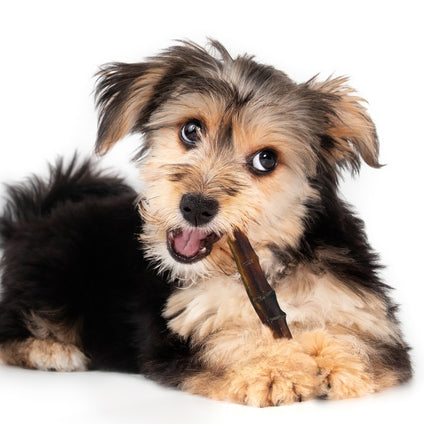 John Deere Bully Stick Six Inch