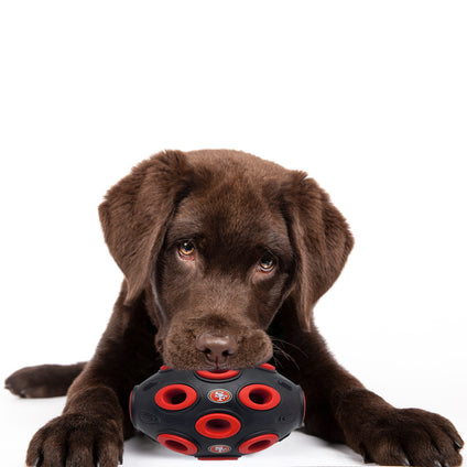 San Francisco 49ers Treat Dispenser Toy