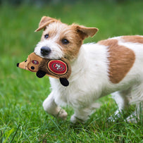 SAN FRANCISCO 49ERS PLUSH HEDGEHOG TOY