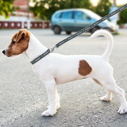 San Diego FC Satin Ribbon Leash