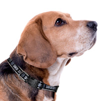 San Diego FC Satin Collar