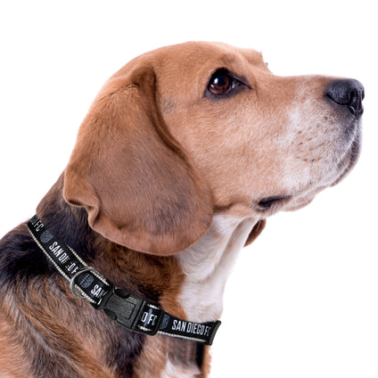 San Diego FC Satin Collar