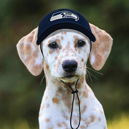 Seattle Seahawks Pet Caps