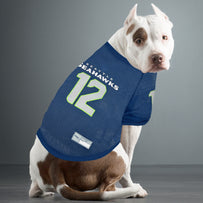 Seattle Seahawks Raglan Jersey #12