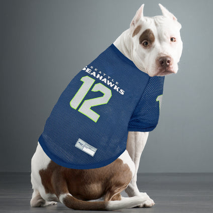 Seattle Seahawks Raglan Jersey #12
