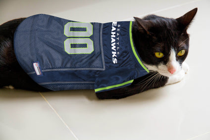 Seattle Seahawks Pet Mesh Jersey