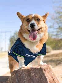Seattle Seahawks Pet Mesh Jersey