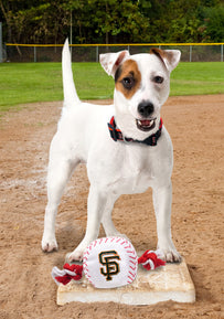 San Francisco Giants Nylon Baseball Rope Toy